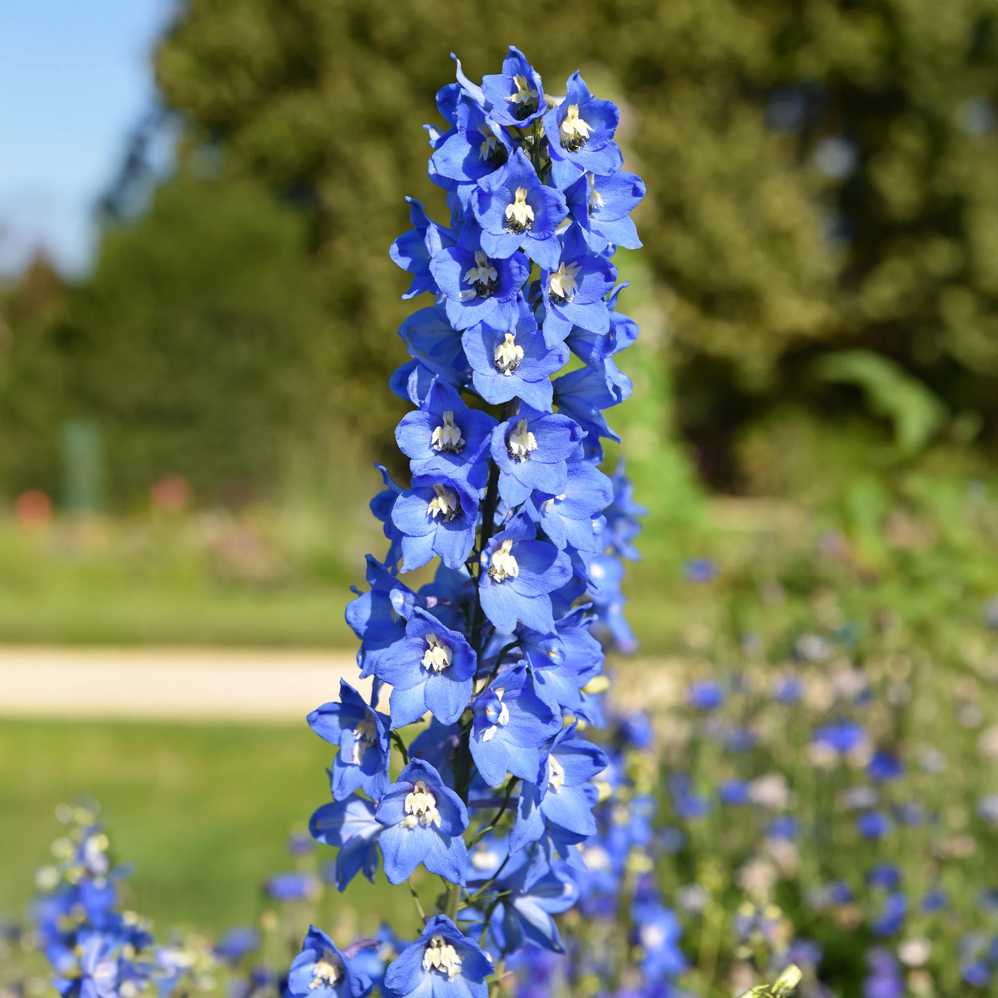 Miniatuur 2