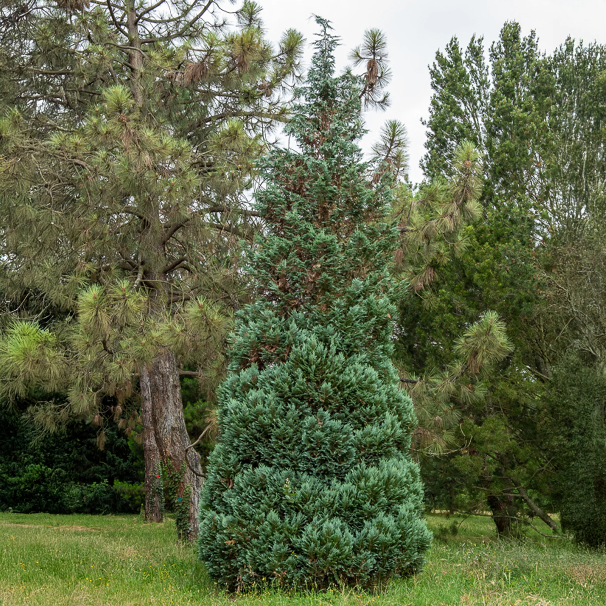 Miniatuur 1